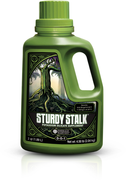 Emerald Sturdy Stalk